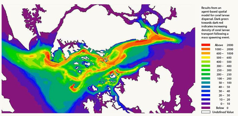 Agent-Based Spatial Model for Coastal and Marine Habitats