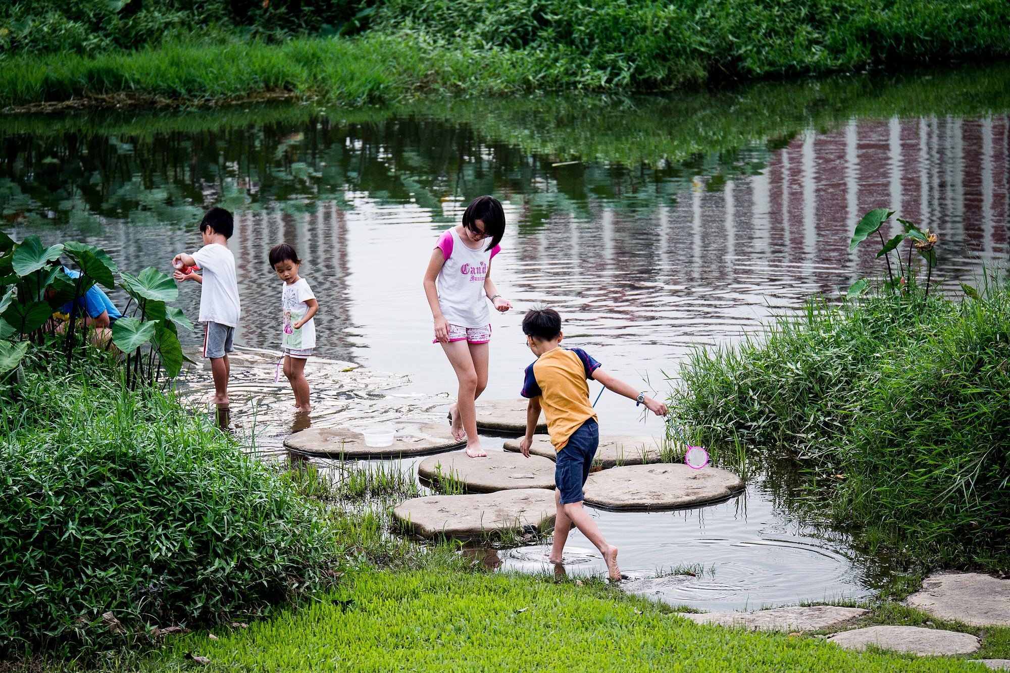 Kids playing at the Bishan-Ang Mo Kio Park